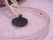 superconductor.jpg